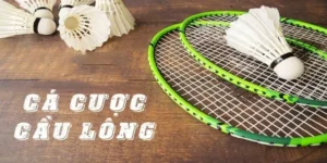Bí Quyết Chinh Phục Cá Cược Cầu Lông W88 Đỉnh Cao Năm 2025