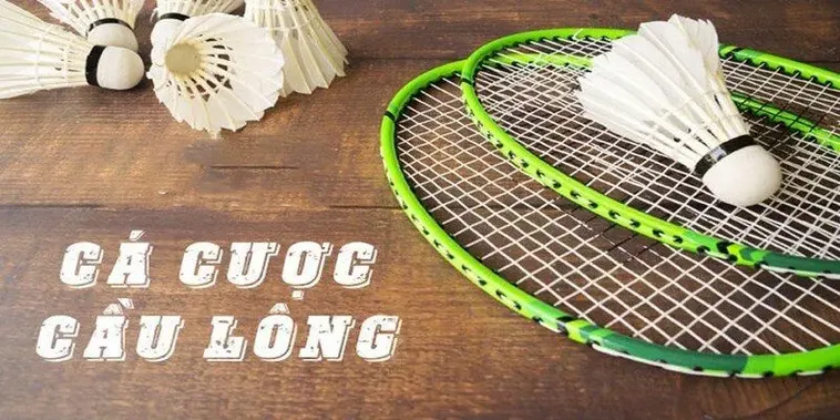 Bí Quyết Chinh Phục Cá Cược Cầu Lông W88 Đỉnh Cao Năm 2025