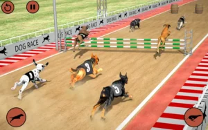 Bí Kíp Thắng Game Nhanh Đua Chó W88 Dễ Dàng Trong 5 Phút