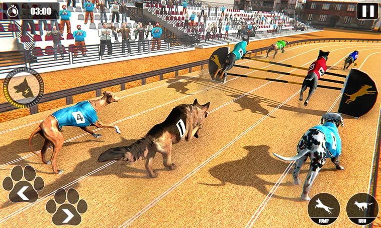 Bí Kíp Thắng Game Nhanh Đua Chó W88 Dễ Dàng Trong 5 Phút